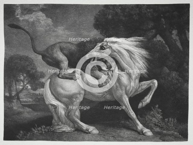 A Horse Attacked by a Lion, 1788. Creator: George Stubbs (British, 1724-1806).