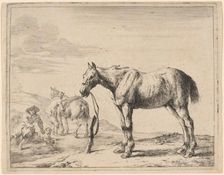 A Horse Bound to a Post, 1651. Creator: Dirck Stoop