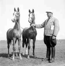 A horse breeder, Sweden, 1954. Creator: Unknown