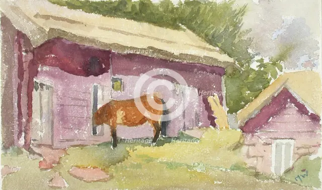 A horse by the shed. Creator: Maria Wiik.