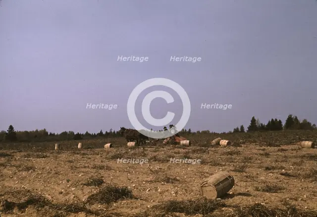 A horse-drawn digger in operation on a (potato) farm run by...Caribou, Aroostook county, Maine, 1940 Creator: Jack Delano.