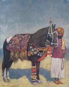 A Horse from Jodhpur 1903. Artist: Mortimer L Menpes