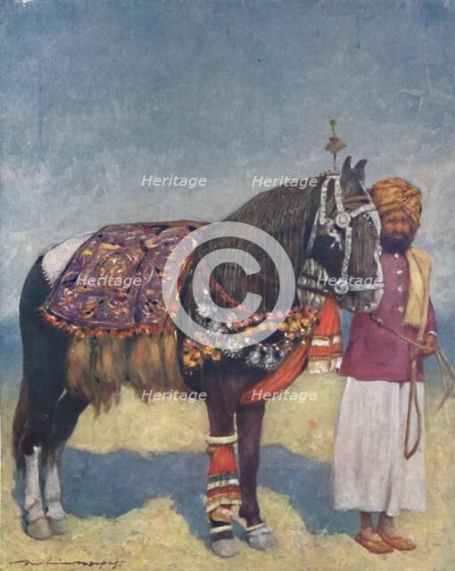 'A Horse from Jodhpur', 1903. Artist: Mortimer L Menpes.