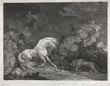 A Horse Frightened by a Lion, 1777. Creator: George Stubbs (British, 1724-1806)