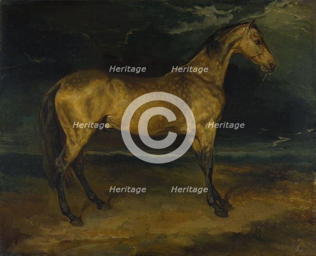A Horse frightened by Lightning, ca 1814. Artist: Géricault, Théodore (1791-1824)