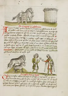 A Horse in a Thorn Bramble near a Wheat Field: A Horse, a Sheep..., third quarter of 15th century. Creator: Unknown
