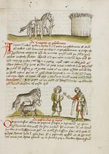 A Horse in a Thorn Bramble near a Wheat Field: A Horse, a Sheep..., third quarter of 15th century. Creator: Unknown