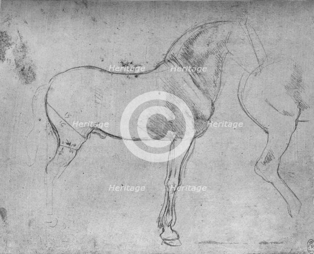 'A Horse in Profile to the Right and its Hind-Quarters', c1480 (1945). Artist: Leonardo da Vinci.