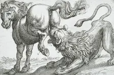 A Horse Kicking a Lion, 1610. Creator: Hendrick Hondius I