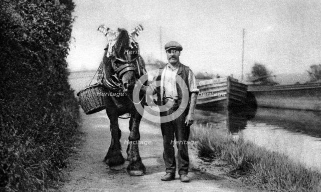 A horse pulling a canal barge, 1926-1927. Artist: Unknown