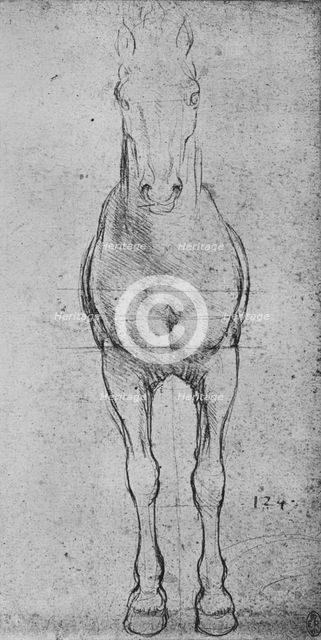 'A Horse Seen from the Front', c1480 (1945). Artist: Leonardo da Vinci.