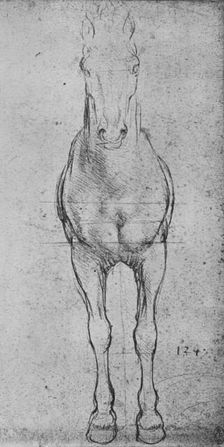 A Horse Seen from the Front c1480 (1945). Artist: Leonardo da Vinci