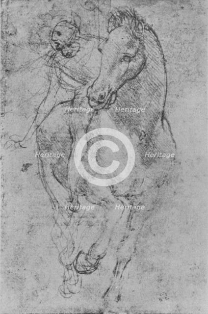 'A Horseman', c1480 (1945). Artist: Leonardo da Vinci.