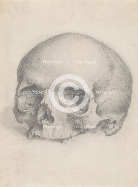 A human skull viewed from the front, for Cheselden's `Osteographia', by 1733. Creator: Gerard Vandergucht.