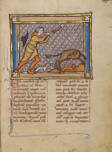 A Hunter and a Beaver; Bestiary, about 1270. Creator: Unknown