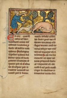 A Hunter and a Beaver; De Natura Avium; De Pastoribus et Ovibus; Bestiarium, 1277 or after. Creator: Unknown
