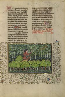 A Hunter and a Dog Examining a Deer's Fraying Place; Livre de la Chasse, about 1430-1440. Creator: Unknown