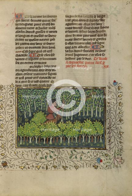 A Hunter and a Dog Examining a Deer's Fraying Place; Livre de la Chasse, about 1430-1440. Creator: Unknown.