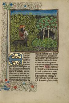 A Hunter and a Dog Tracking a Wild Boar; Livre de la Chasse, about 1430-1440. Creator: Unknown