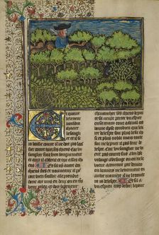 A Hunter and Dogs Pursuing a Wild Boar; Livre de la Chasse, about 1430-1440. Creator: Unknown