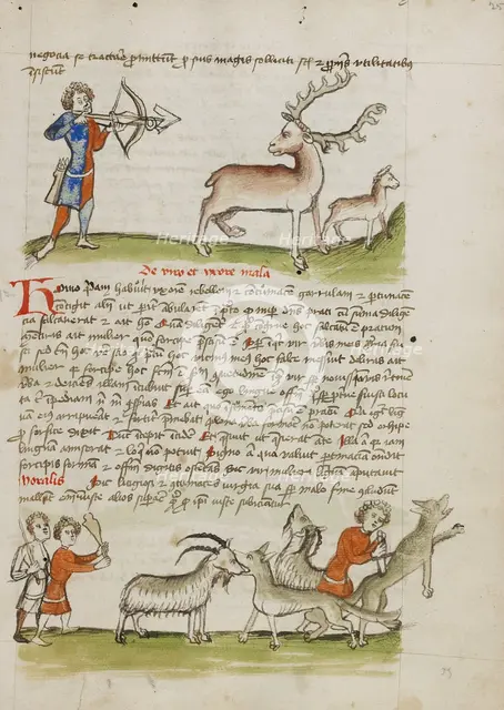 A Hunter Aiming an Arrow at a Stag, a Deer Standing Nearby..., third quarter of 15th century. Creator: Unknown.