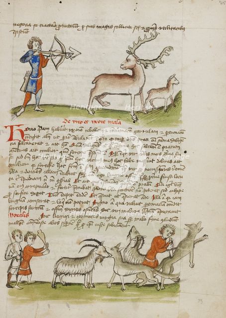A Hunter Aiming an Arrow at a Stag, a Deer Standing Nearby..., third quarter of 15th century. Creator: Unknown.
