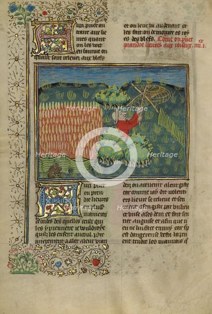 A Hunter Netting Hares; Livre de la Chasse, about 1430-1440. Creator: Unknown.