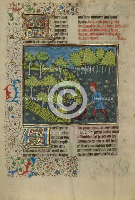 A Hunter Wounding a Wild Boar Caught in a Pit; Livre de la Chasse, about 1430-1440. Creator: Unknown.