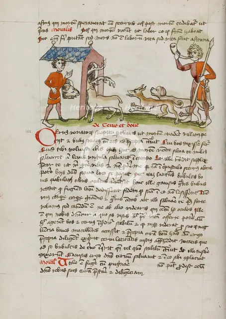A Hunter with Dogs Hunting Stag Which Runs into an Ox Stall..., third quarter of 15th century. Creator: Unknown.