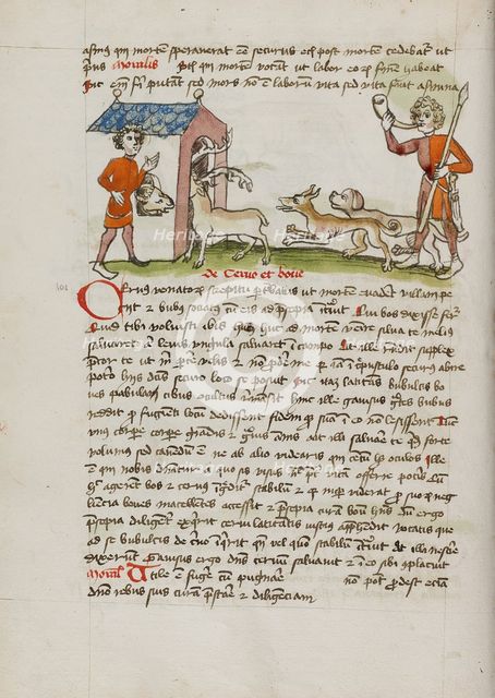 A Hunter with Dogs Hunting Stag Which Runs into an Ox Stall..., third quarter of 15th century. Creator: Unknown.