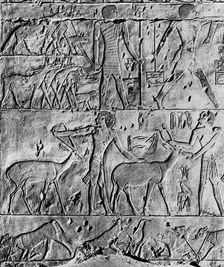 A hunting scene from the tomb of Ptahhotep, near Saqqara, Egypt, c2650 BC (1936)