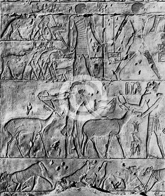 A hunting scene from the tomb of Ptahhotep, near Saqqara, Egypt, c2650 BC (1936). Artist: Unknown