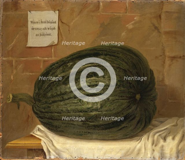 A huge pumpkin, 18th century. Creator: Olof Fredsberg.