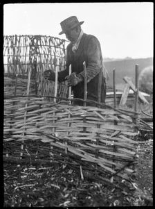 A hurdle maker at work near the town of Alton, East Hampshire, Hampshire, 1920-1960. Creator: George R Long