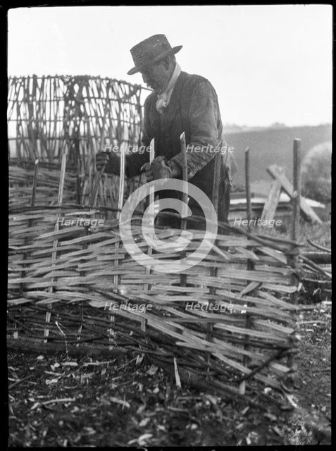 A hurdle maker at work near the town of Alton, East Hampshire, Hampshire, 1920-1960. Creator: George R Long.