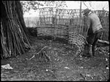 A hurdle maker at work near the town of Alton, East Hampshire, Hampshire, 1920-1960. Creator: George R Long