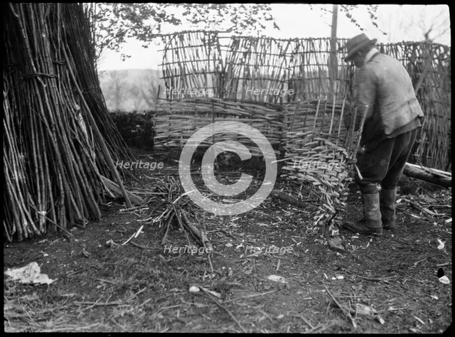 A hurdle maker at work near the town of Alton, East Hampshire, Hampshire, 1920-1960. Creator: George R Long.