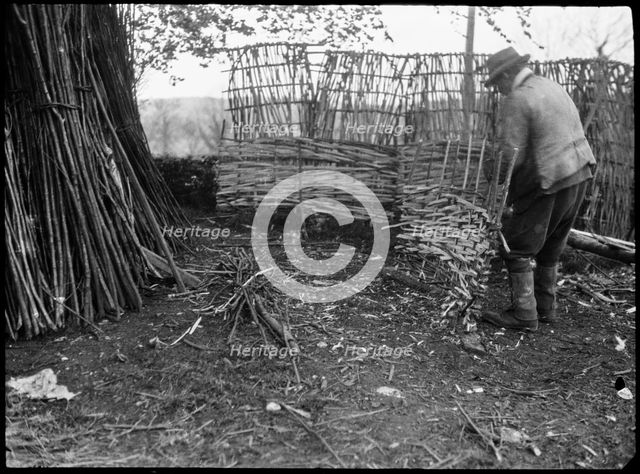A hurdle maker at work near the town of Alton, East Hampshire, Hampshire, 1920-1960. Creator: George R Long.