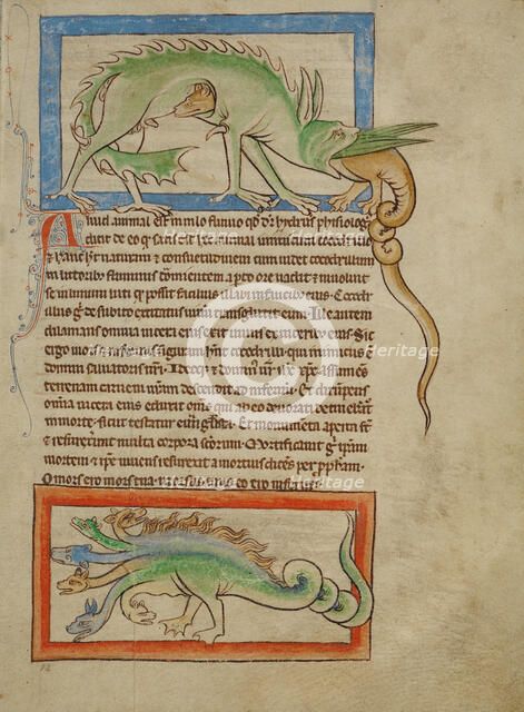 A Hydrus; A Hydra; Northumberland Bestiary, about 1250-1260. Creator: Unknown.