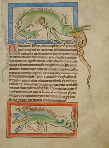 A Hydrus; A Hydra; Northumberland Bestiary, about 1250-1260. Creator: Unknown