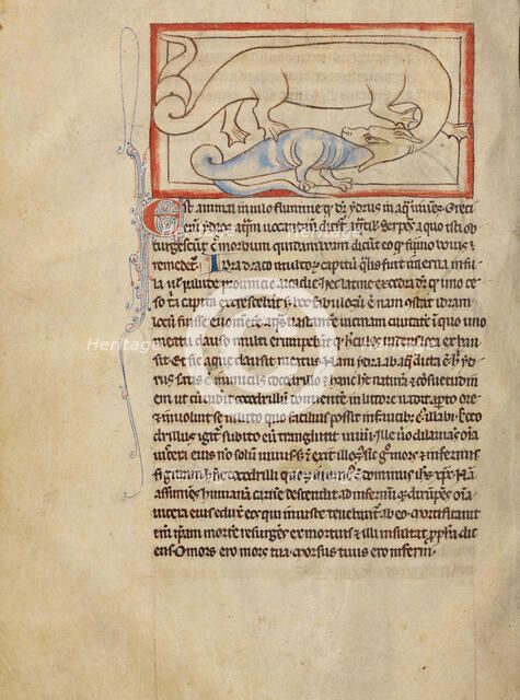A Hydrus; Northumberland Bestiary, about 1250-1260. Creator: Unknown.