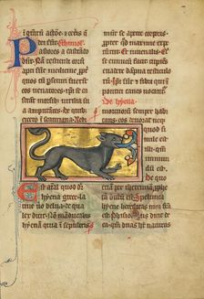 A Hyena; De Natura Avium; De Pastoribus et Ovibus; Bestiarium, 1277 or after. Creator: Unknown