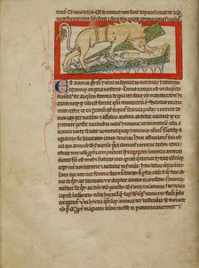 A Hyena; Northumberland Bestiary, about 1250-1260. Creator: Unknown