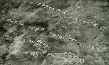A Infantry Attack Across "No Man's Land" (1919). Creator: Unknown