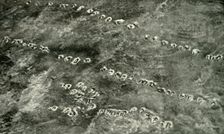 A Infantry Attack Across "No Man's Land" (1919). Creator: Unknown