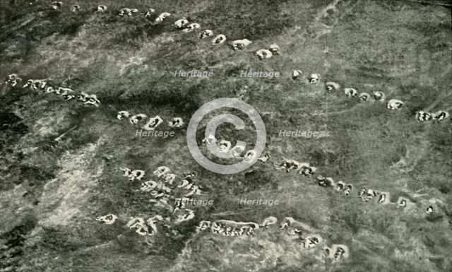 'A Infantry Attack Across "No Man's Land"', (1919).  Creator: Unknown.