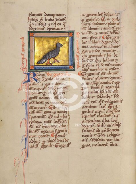 A Jackdaw; Bestiary, about 1270. Creator: Unknown.