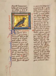 A Jackdaw; Bestiary, about 1270. Creator: Unknown