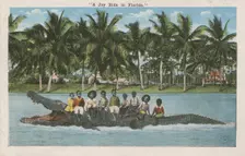 A Joy Ride in Florida - postcard mailed to Frederick Hoeing, 1917. Creator: Unknown