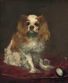 A King Charles Spaniel, c. 1866. Creator: Edouard Manet